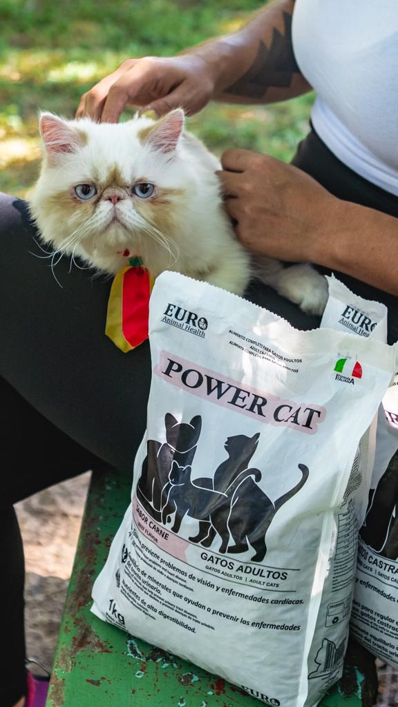 power-cat